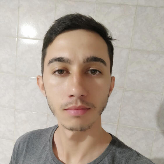 Anderson de Lima Leite Dez/2024 - Fev/2025 Github Linkedin anderson.leite@ccc.ufcg.edu.br